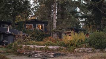 A cabin with a deck, surrounded by dense forest and a fallen tree in the foreground.