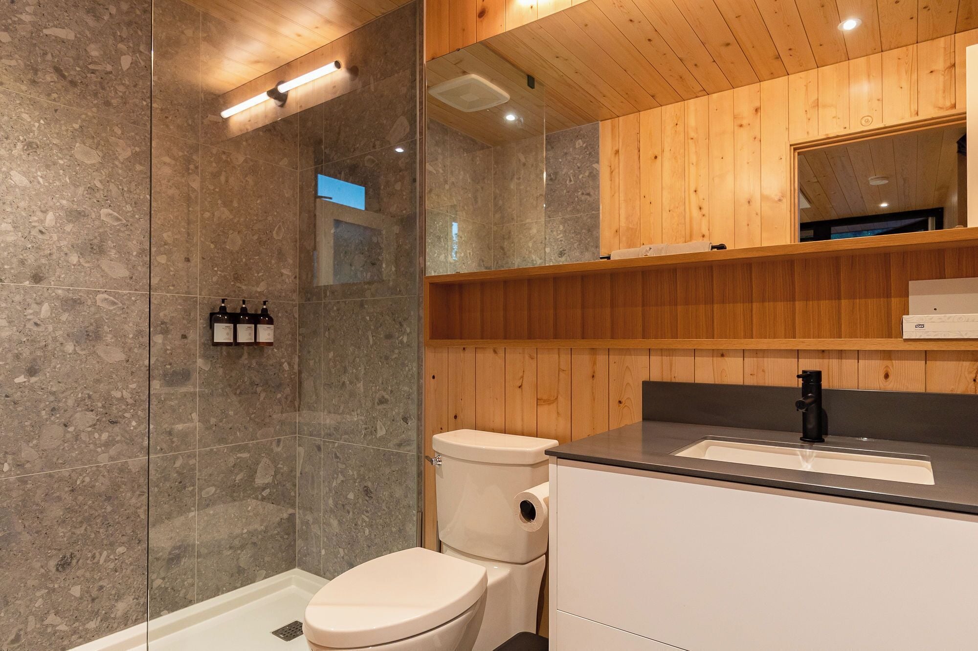 Une salle de bain moderne équipée d’une douche, de toilettes et d’un meuble-lavabo.