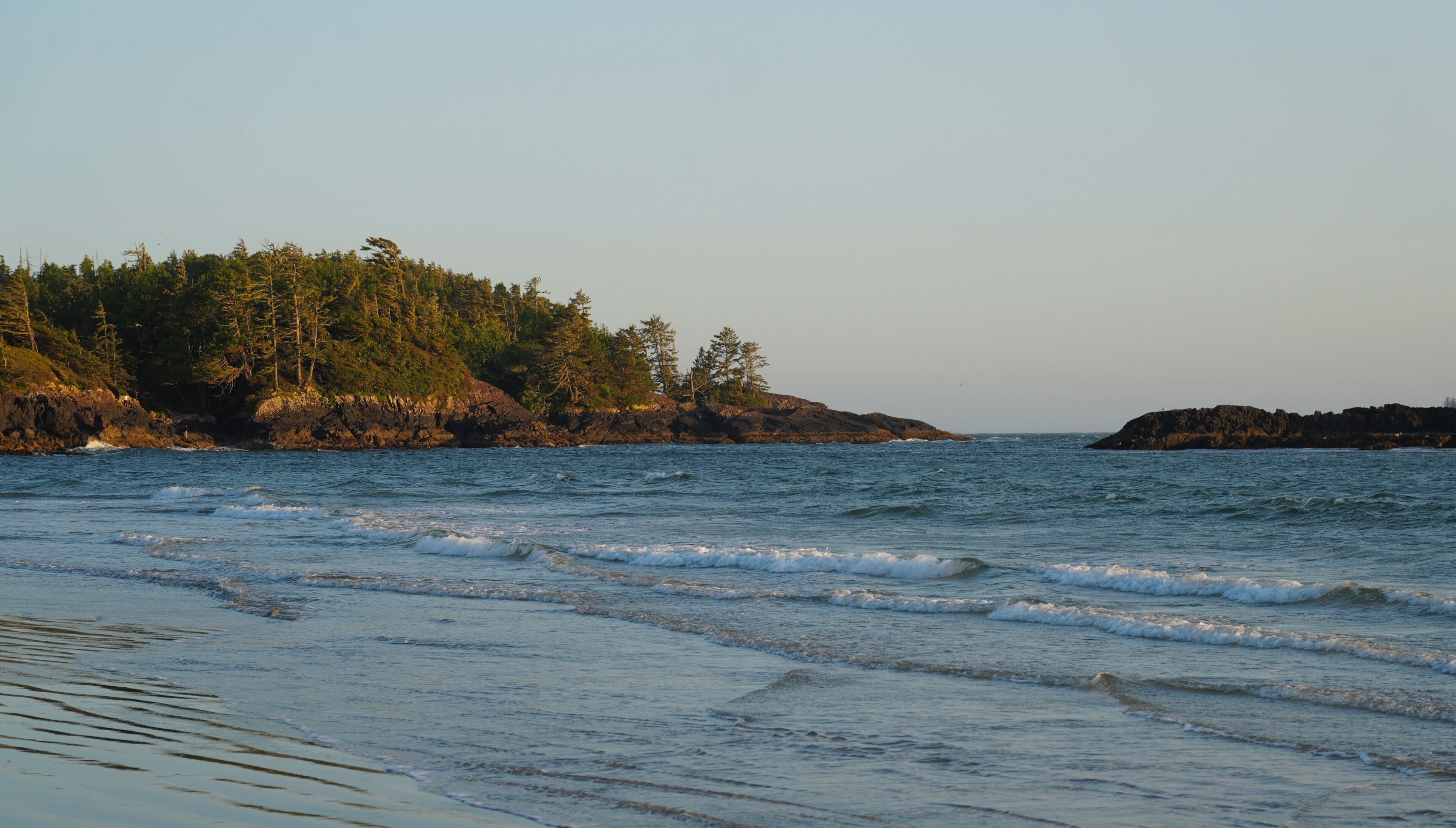 A coastal landscape with a rocky shoreline, waves, and a forested area.