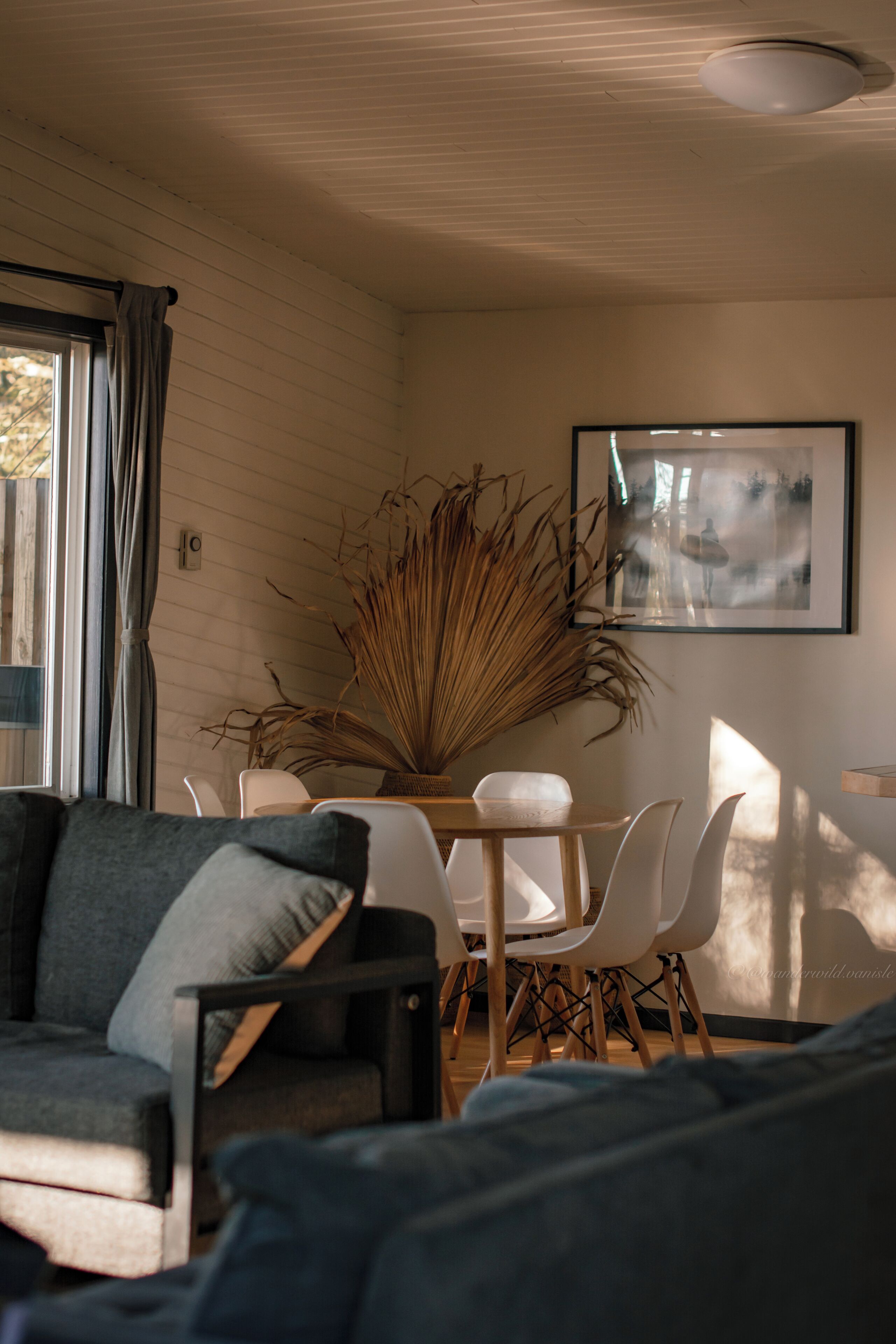 A modern living room with a sofa, dining table, chairs, and a large plant.