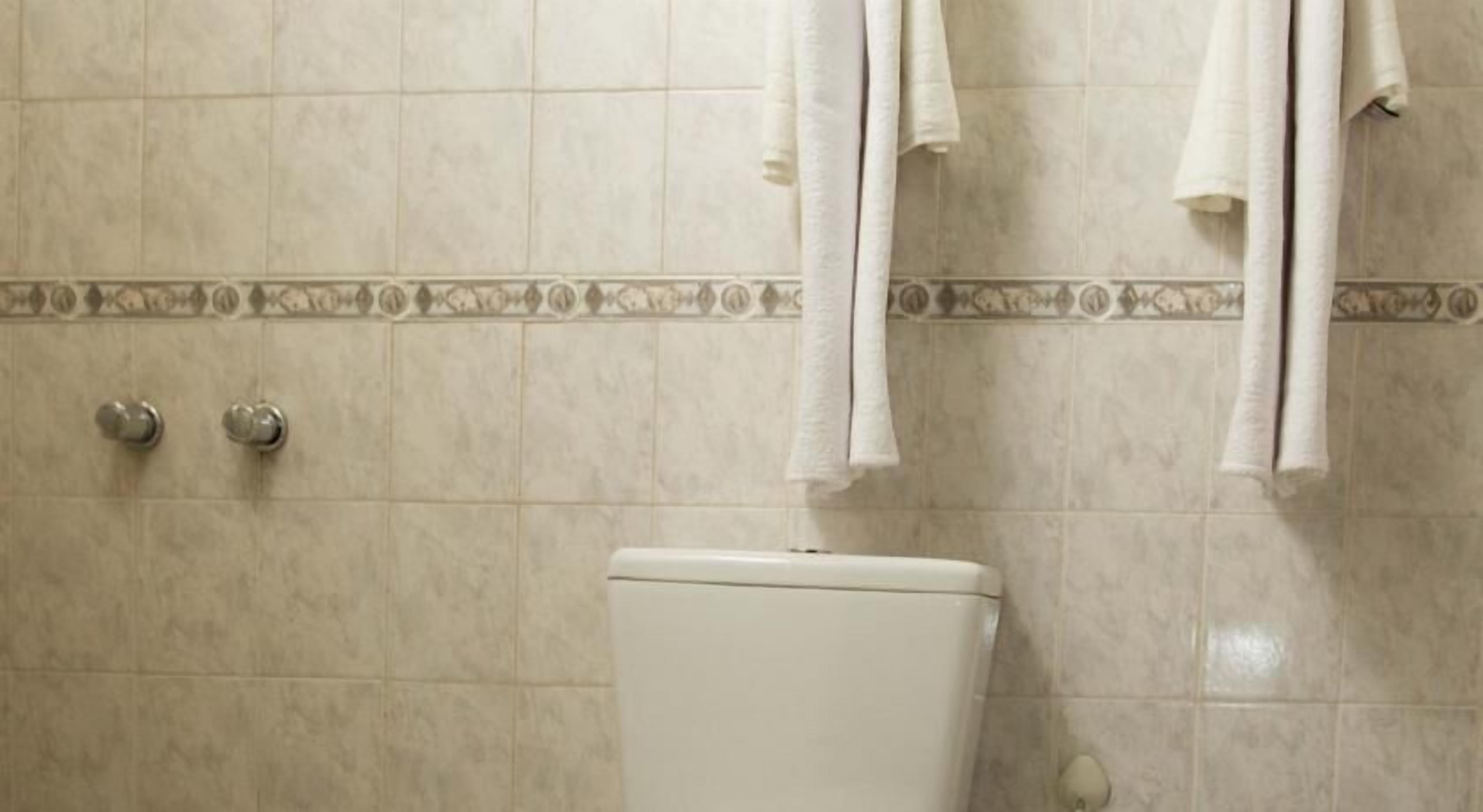 A bathroom with a toilet, two faucets, and a tiled wall with a decorative border.