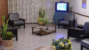 A lobby with seating, a television, and potted plants. - Hotel América (Mendoza)