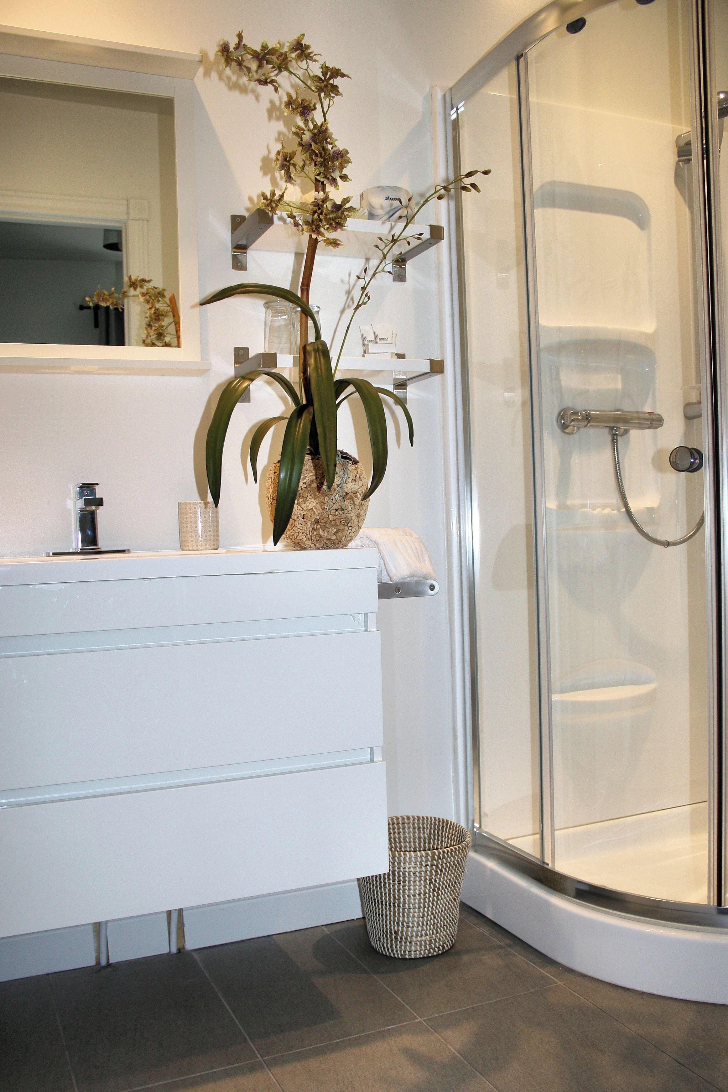 A modern bathroom with a glass shower enclosure, a white vanity with a plant, and a small wicker basket.