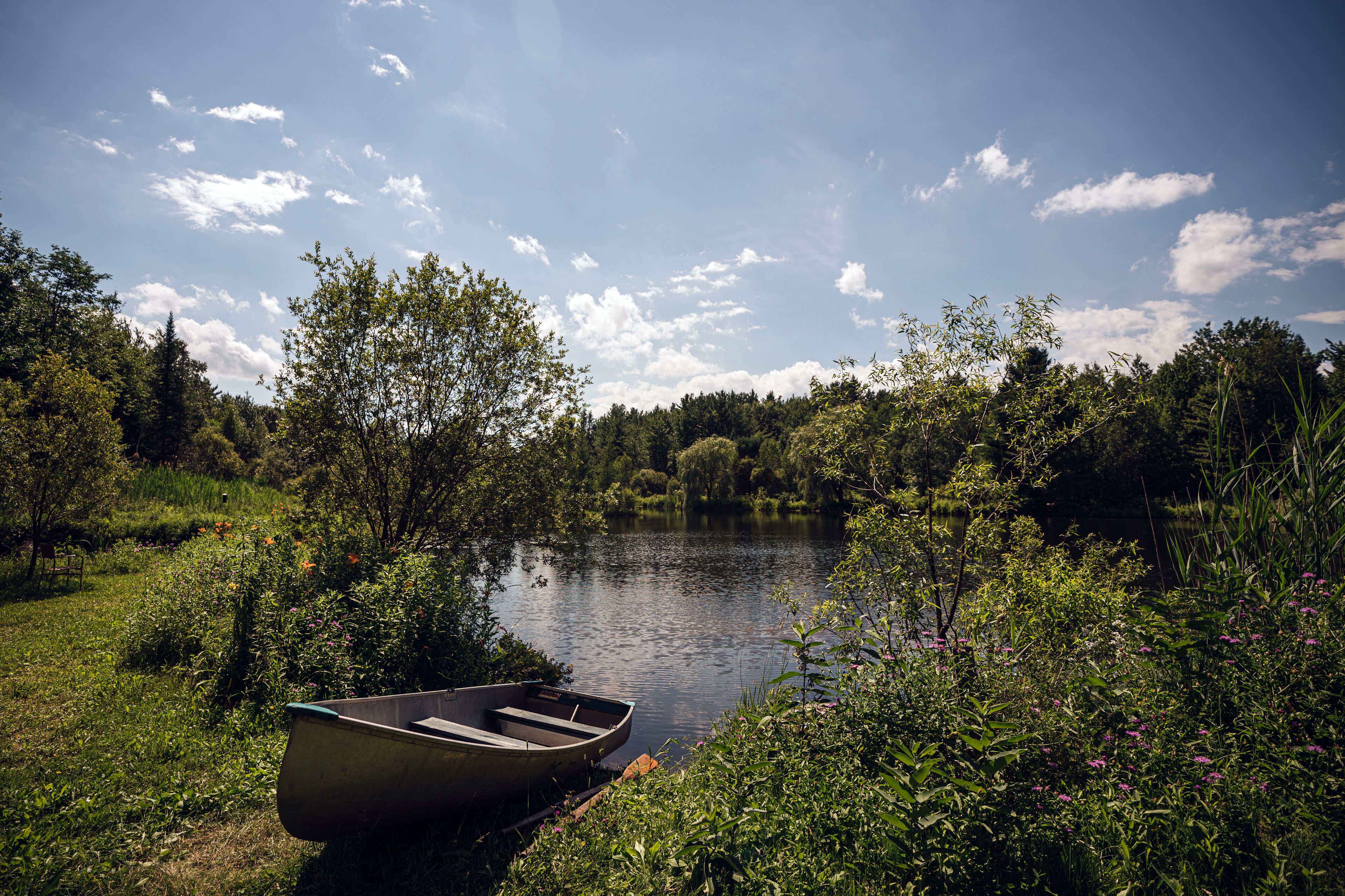 A small boat docked at the edge of a calm lake surrounded by lush greenery and trees.