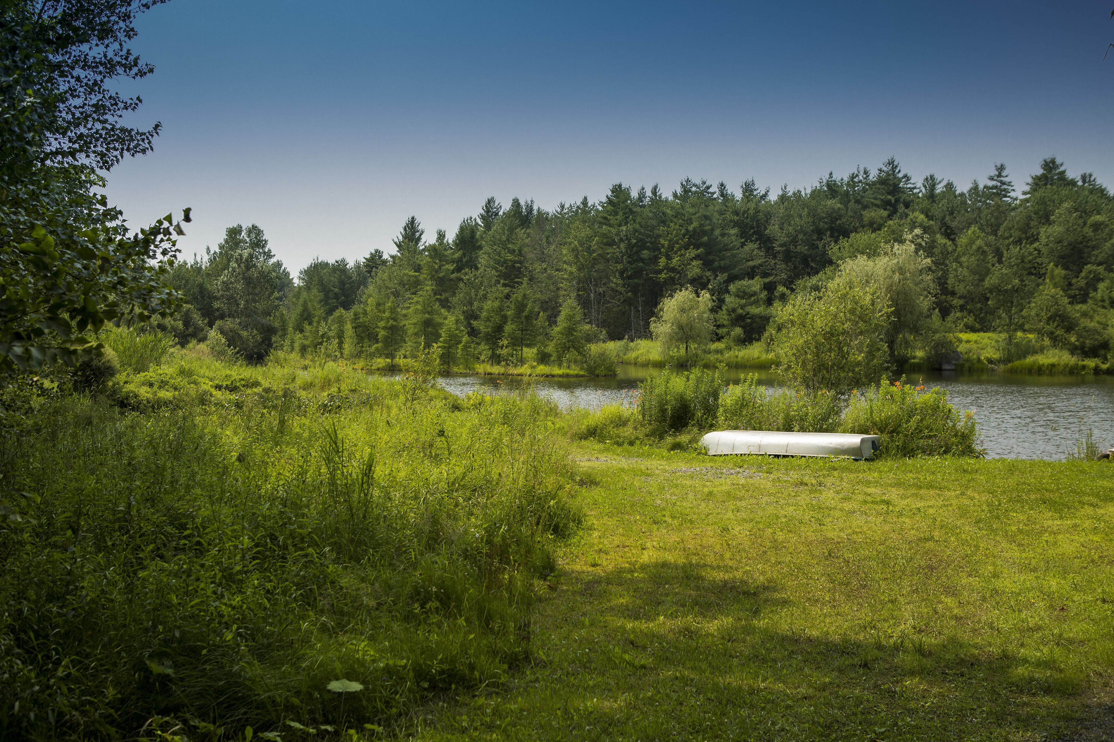 Un paisaje natural con una zona cubierta de hierba, un cuerpo de agua y un bosque al fondo.