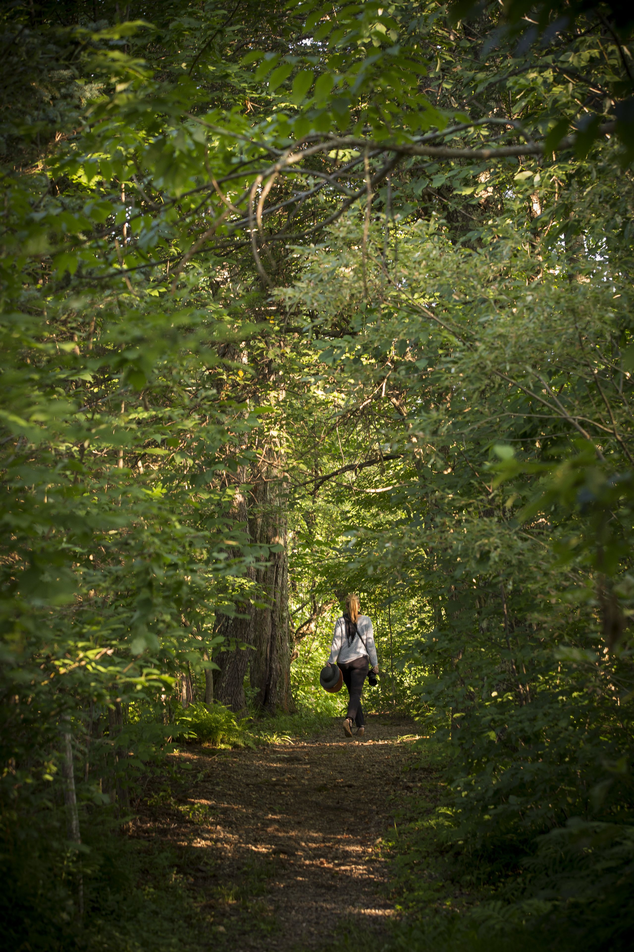 A forest path with dense foliage and a person walking away from the camera.