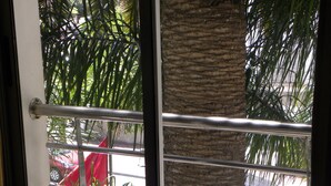 A view through a metal gate with a palm tree and a red umbrella visible outside.