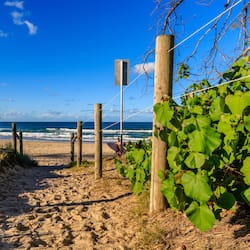 Beach nearby, beach towels