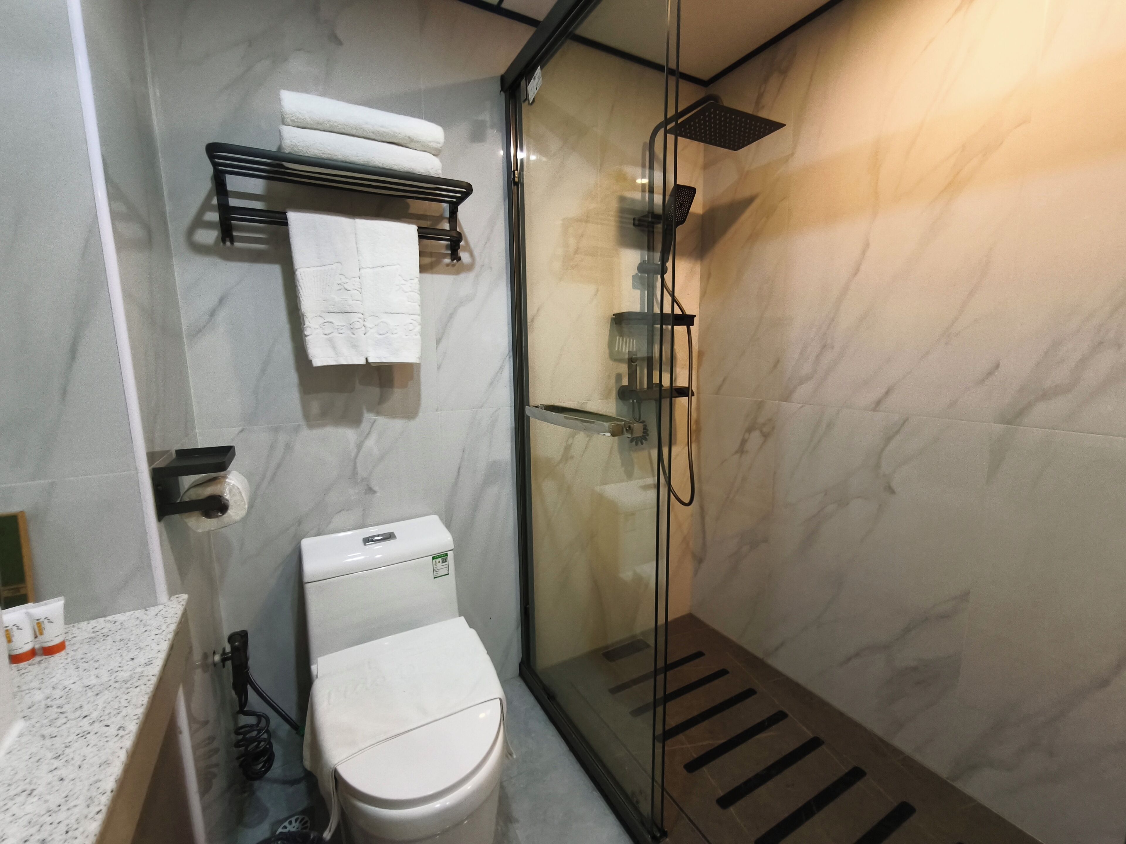 A modern bathroom with a glass-enclosed shower, a toilet, and a towel rack.