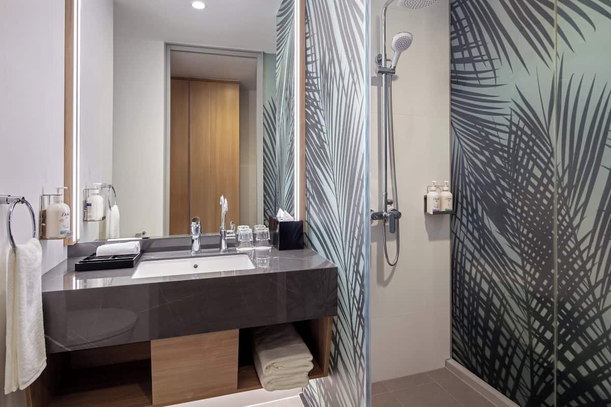 shower, hydromassage showerhead, free toiletries, hair dryer