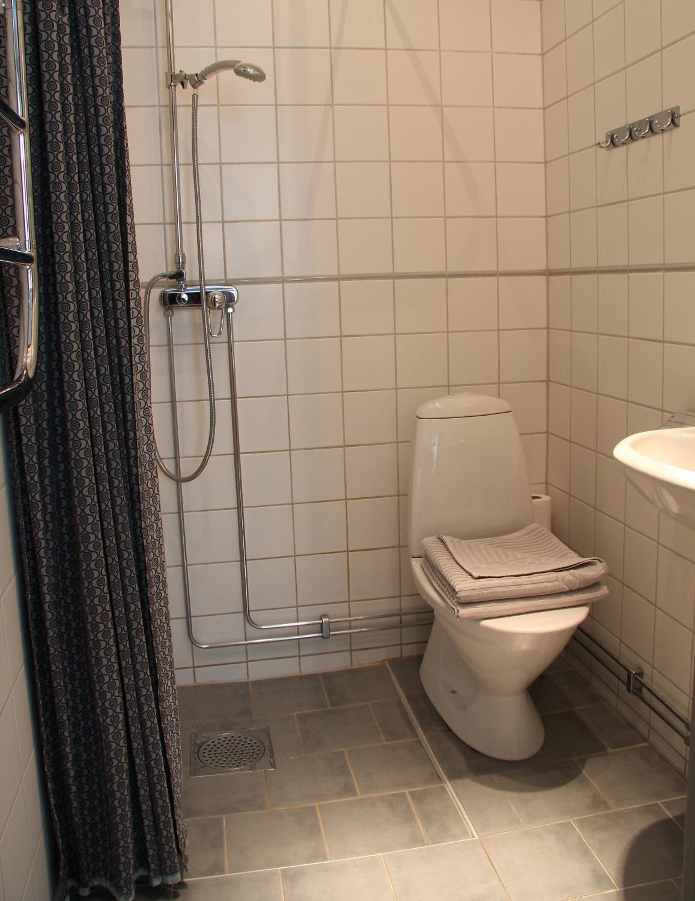 A bathroom with a toilet, a sink, and a shower.