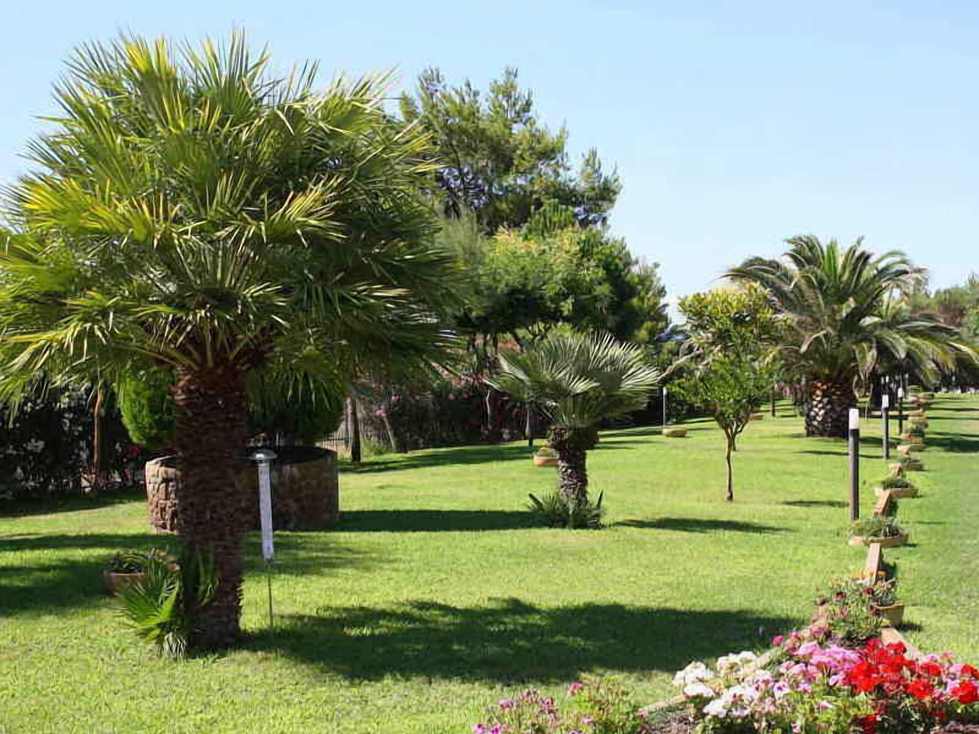 經濟公寓, 3 間臥室, 海景 | 客房景觀