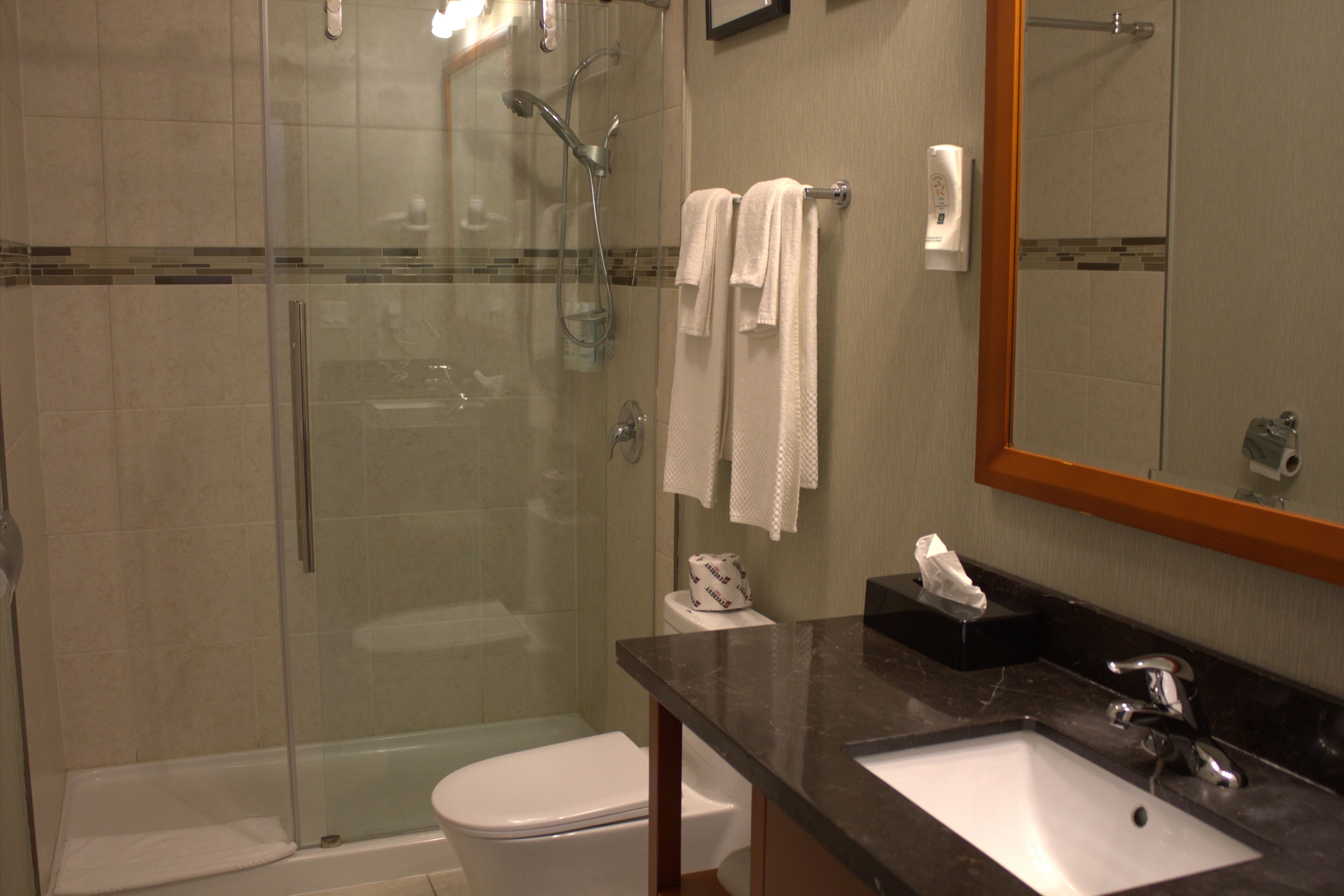 A bathroom with a glass-enclosed shower, a white toilet, a sink with a mirror, and a towel rack with towels.