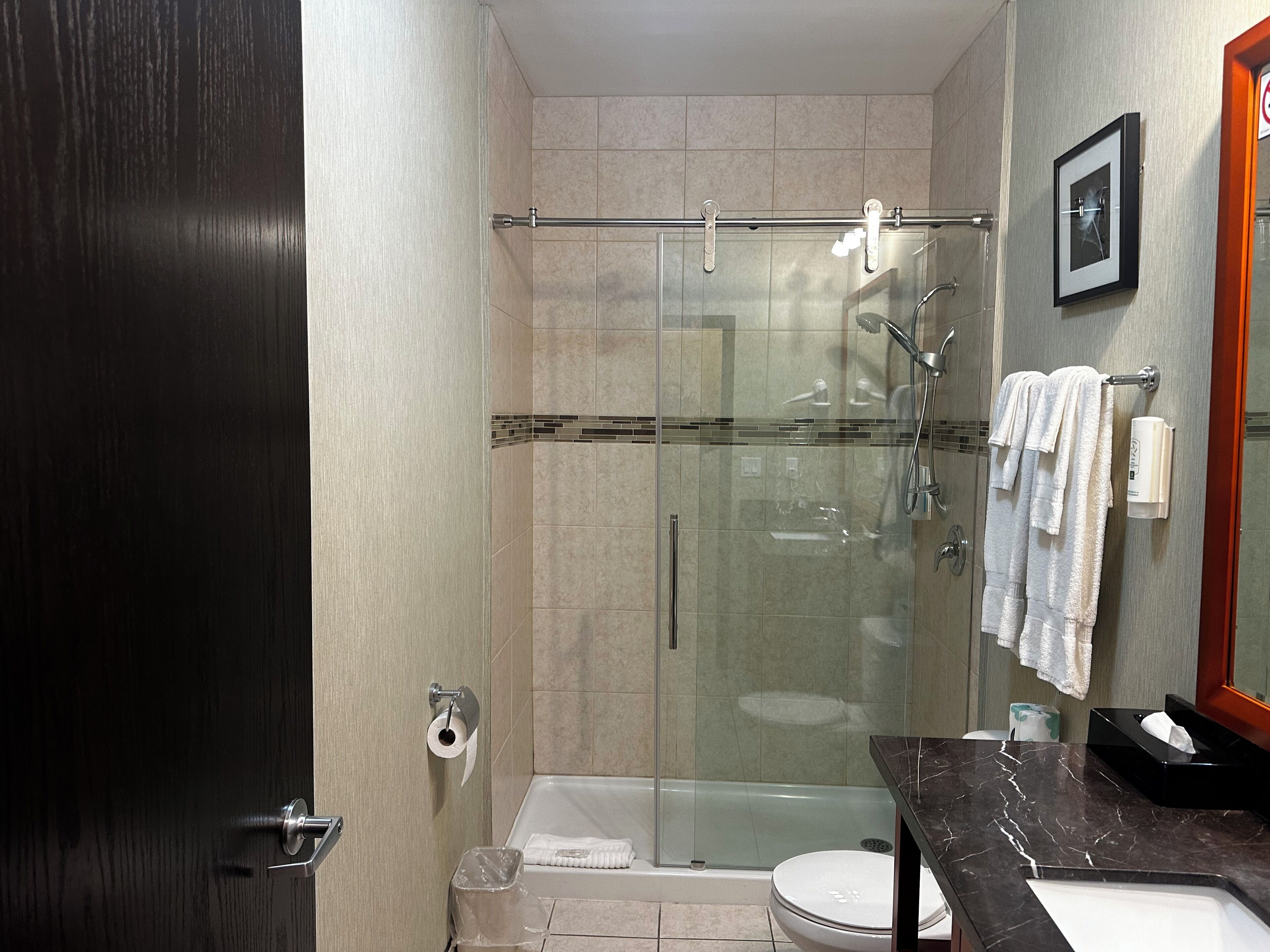 standard room, 1 king bed with sofa bed, non smoking | bathroom | combined shower/bathtub, rainfall showerhead, free toiletries