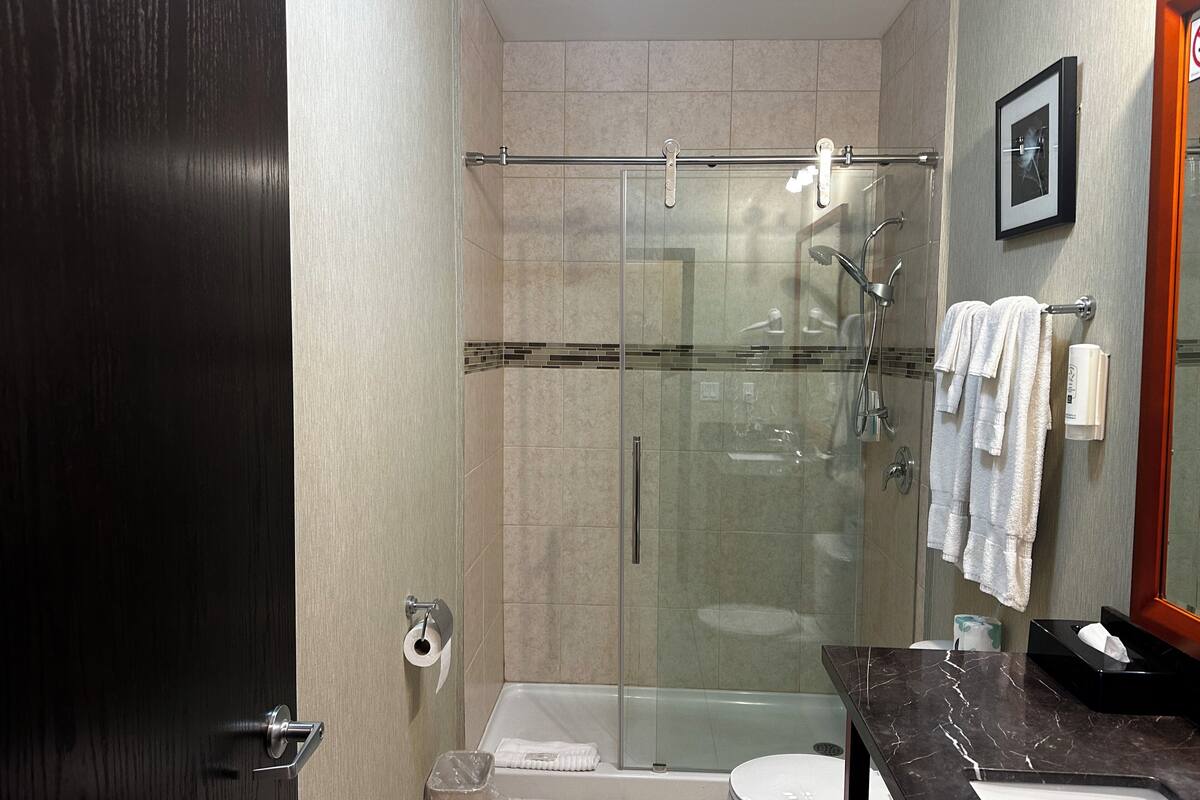 standard room, 1 king bed with sofa bed, non smoking | bathroom | combined shower/bathtub, rainfall showerhead, free toiletries