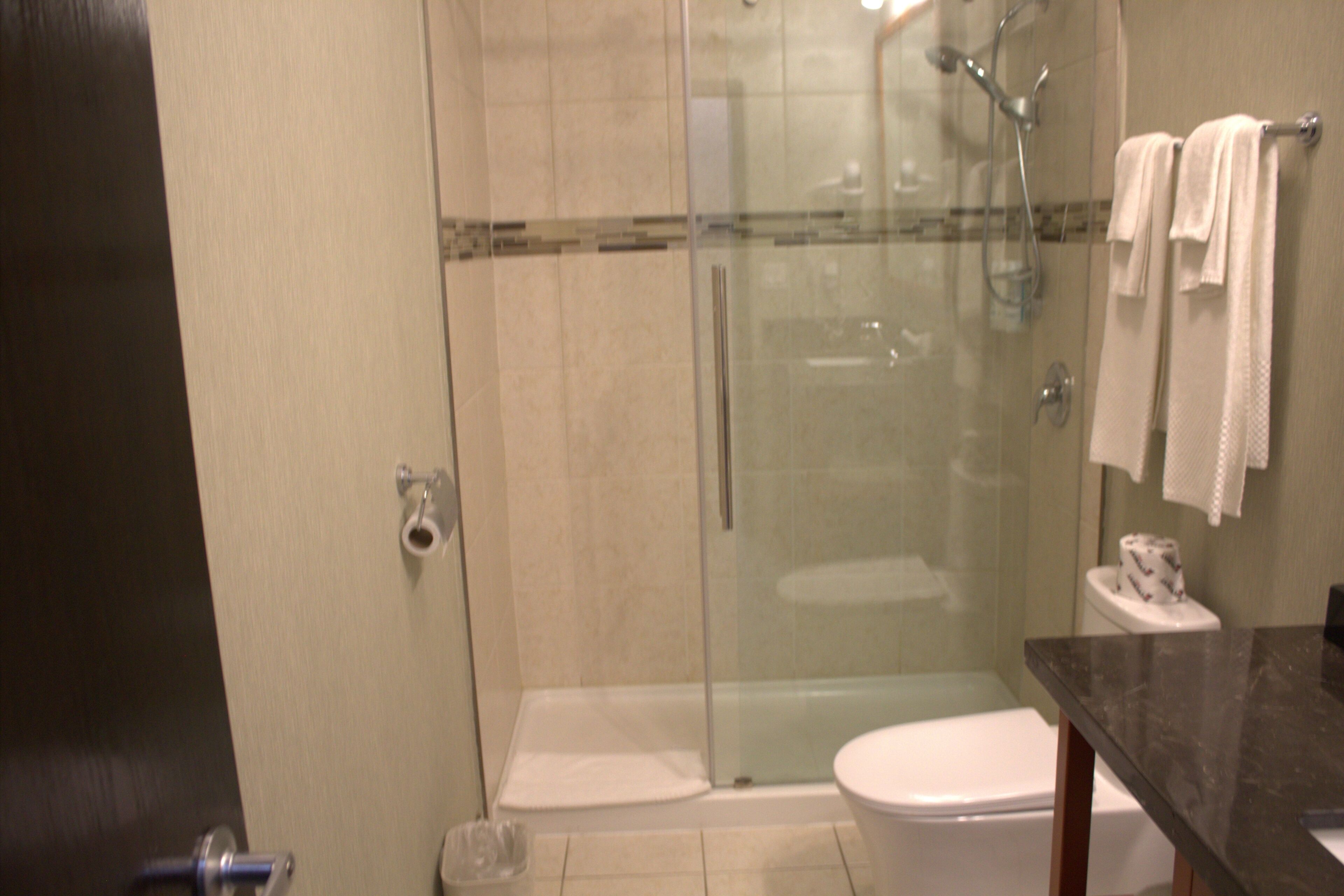A bathroom with a glass-enclosed shower, a white toilet, and a dark countertop.