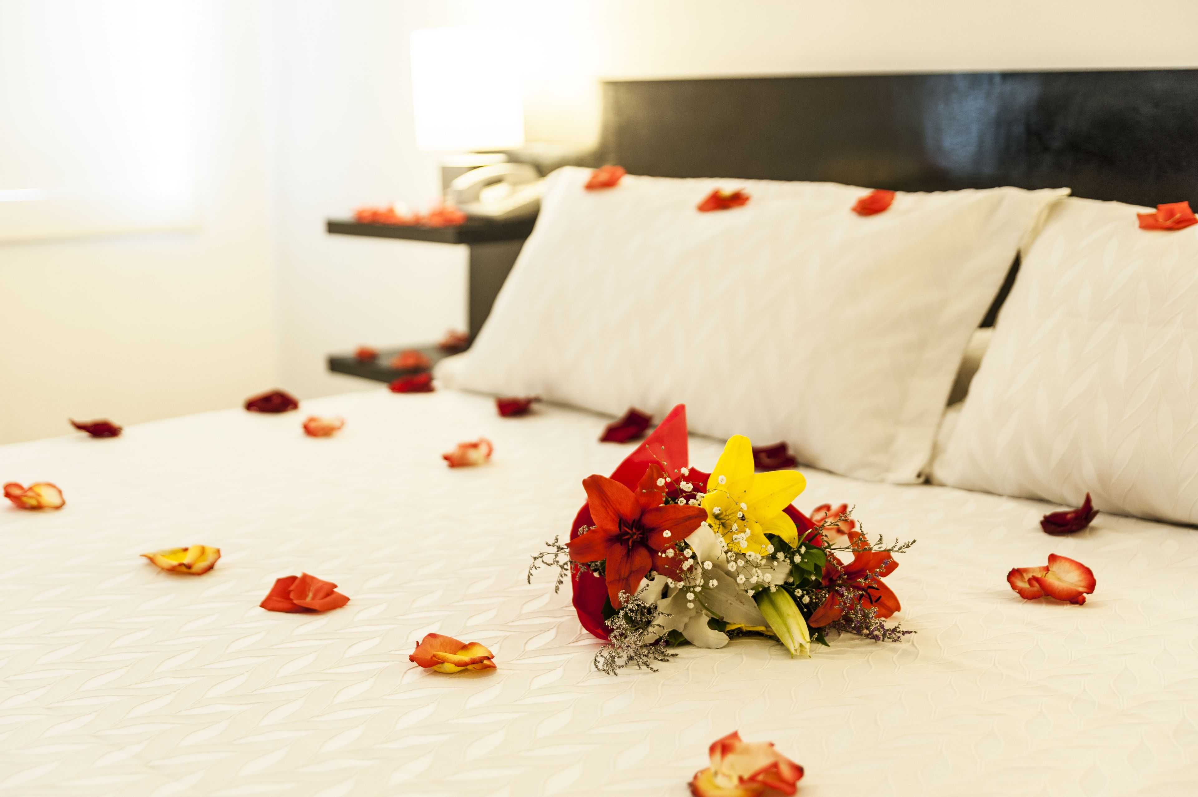 Foto - Hotel Bogota Virrey