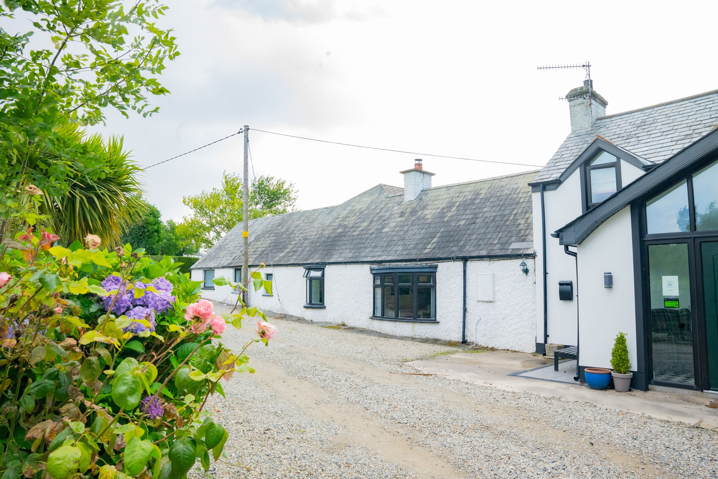 A traditional white building with a gravel driveway and a small garden with purple flowers.