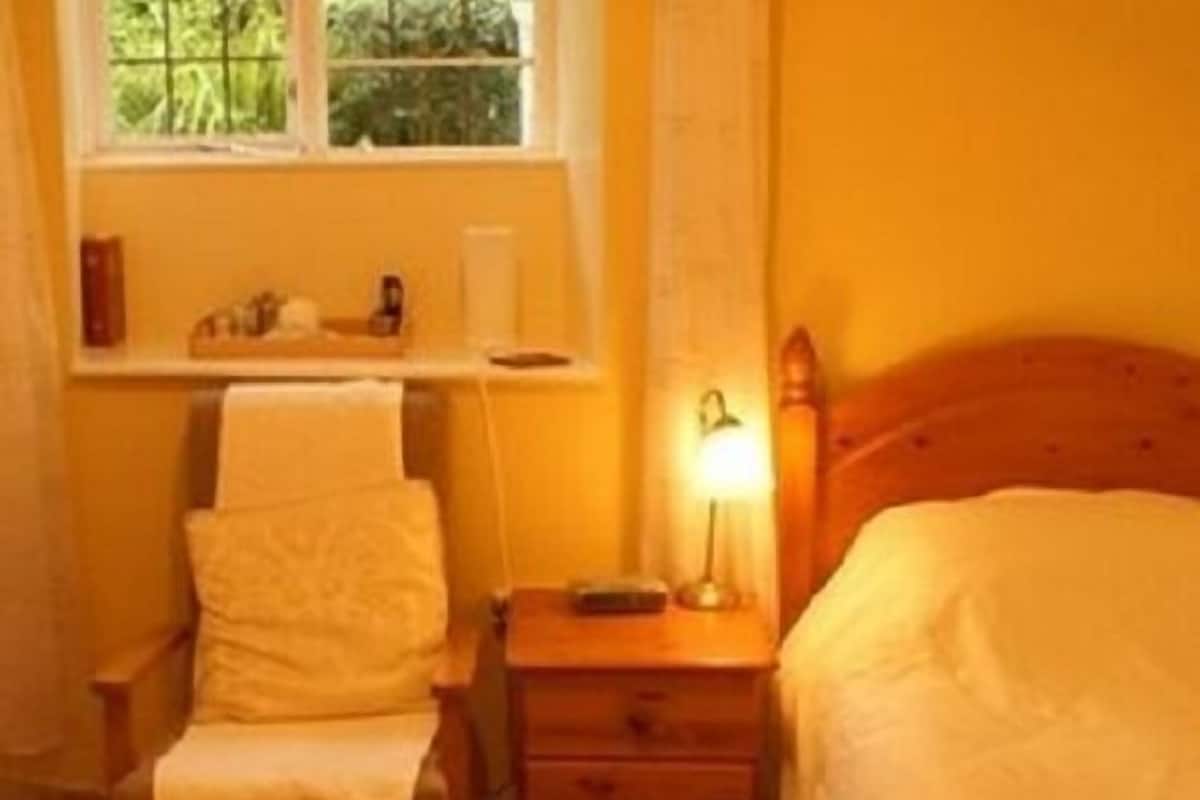 Una habitación con cama, una silla, una mesita de noche con lámpara y una ventana con vista a vegetación.