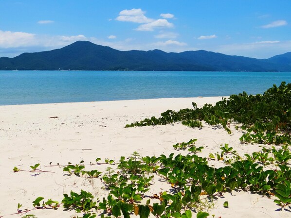 In Strandnähe, weißer Sandstrand, Liegestühle, Sonnenschirme