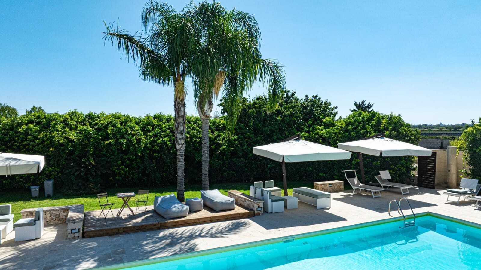 A poolside area with lounge chairs, umbrellas, and a palm tree.