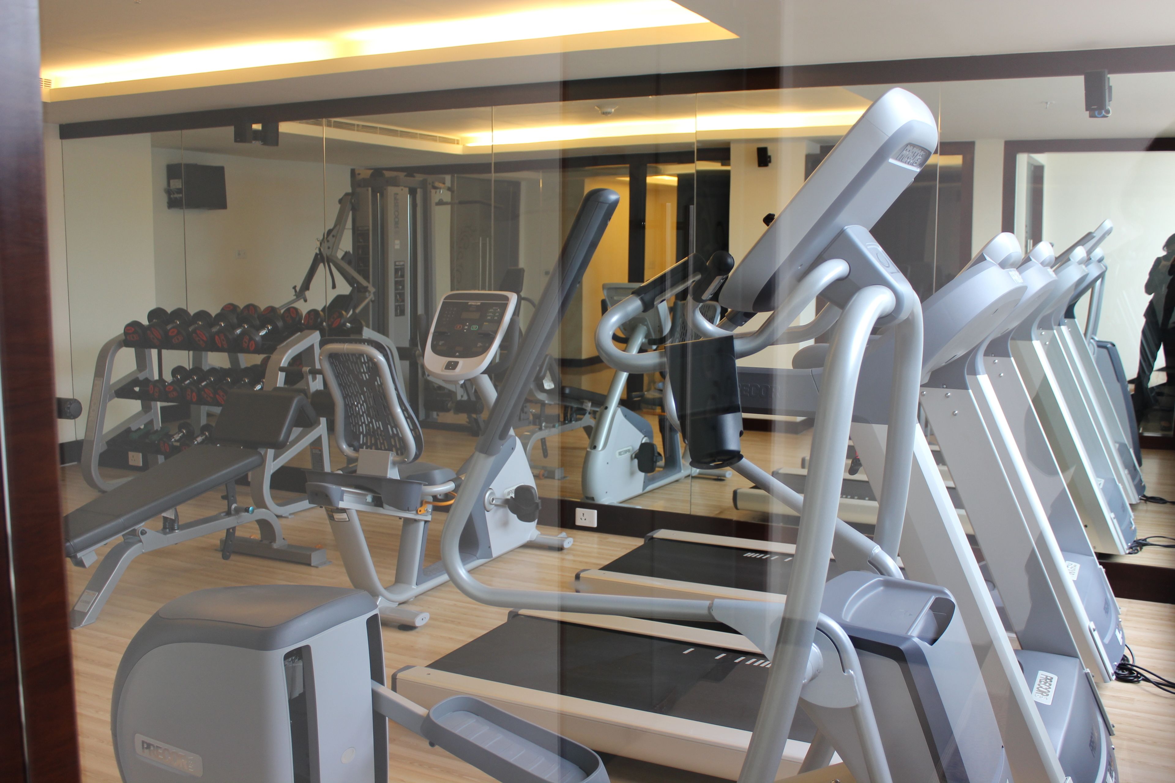 A gym with treadmills, dumbbells, and weight machines.
