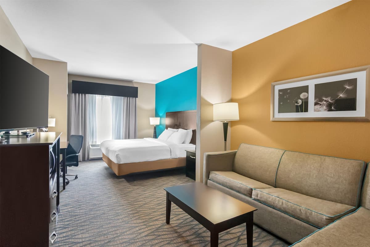 A hotel room with a bed, a sofa, a desk, and a TV.