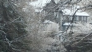Ein Gebäude mit einer Steinauffahrt, umgeben von dichtem Grün und schneebedecktem Boden.