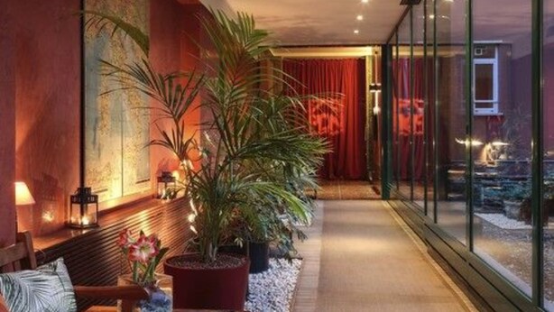 Un interior moderno con un banco de madera, plantas en macetas y una pared de vidrio que ofrece vistas al exterior.