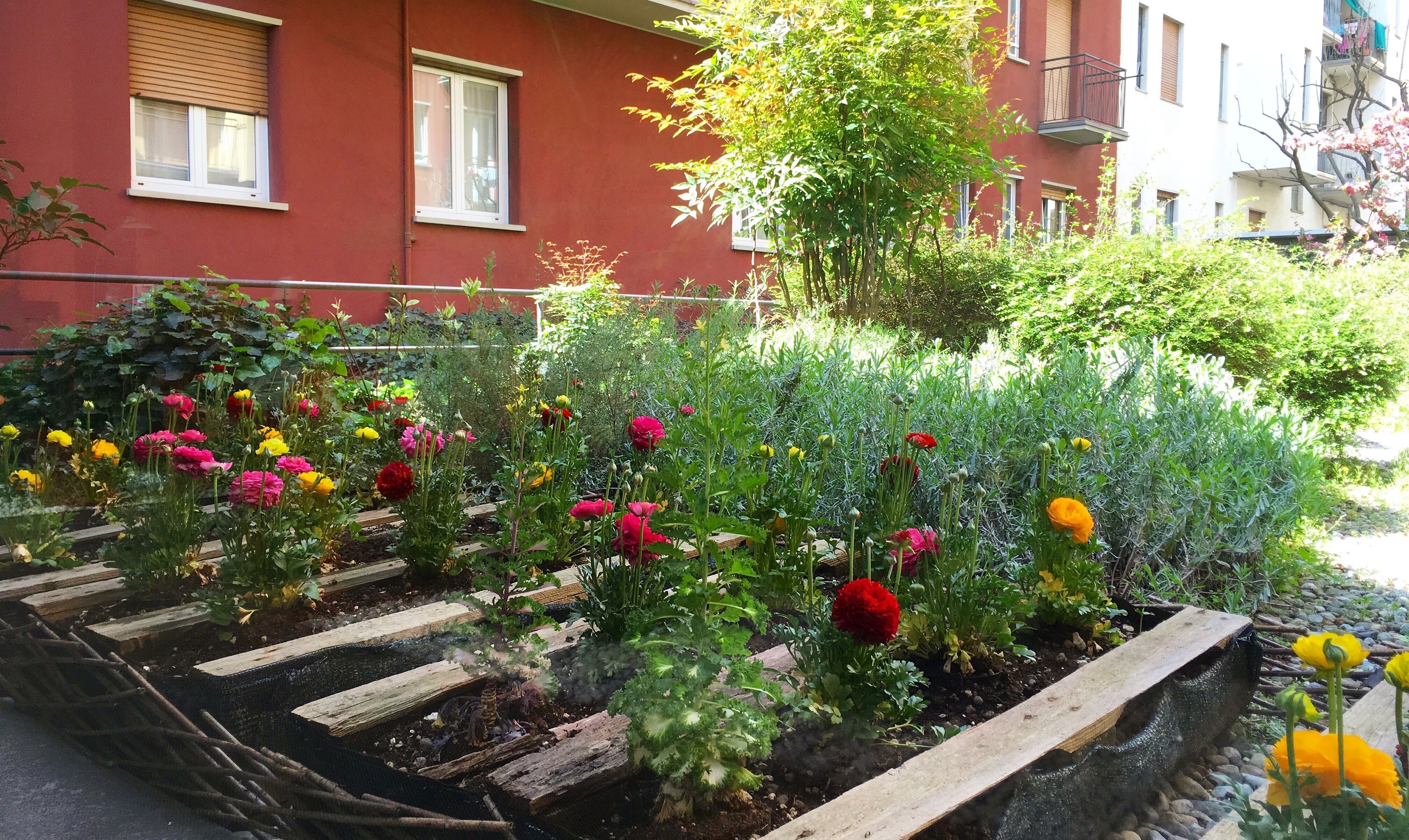 Foto - Residence Pian della Nave