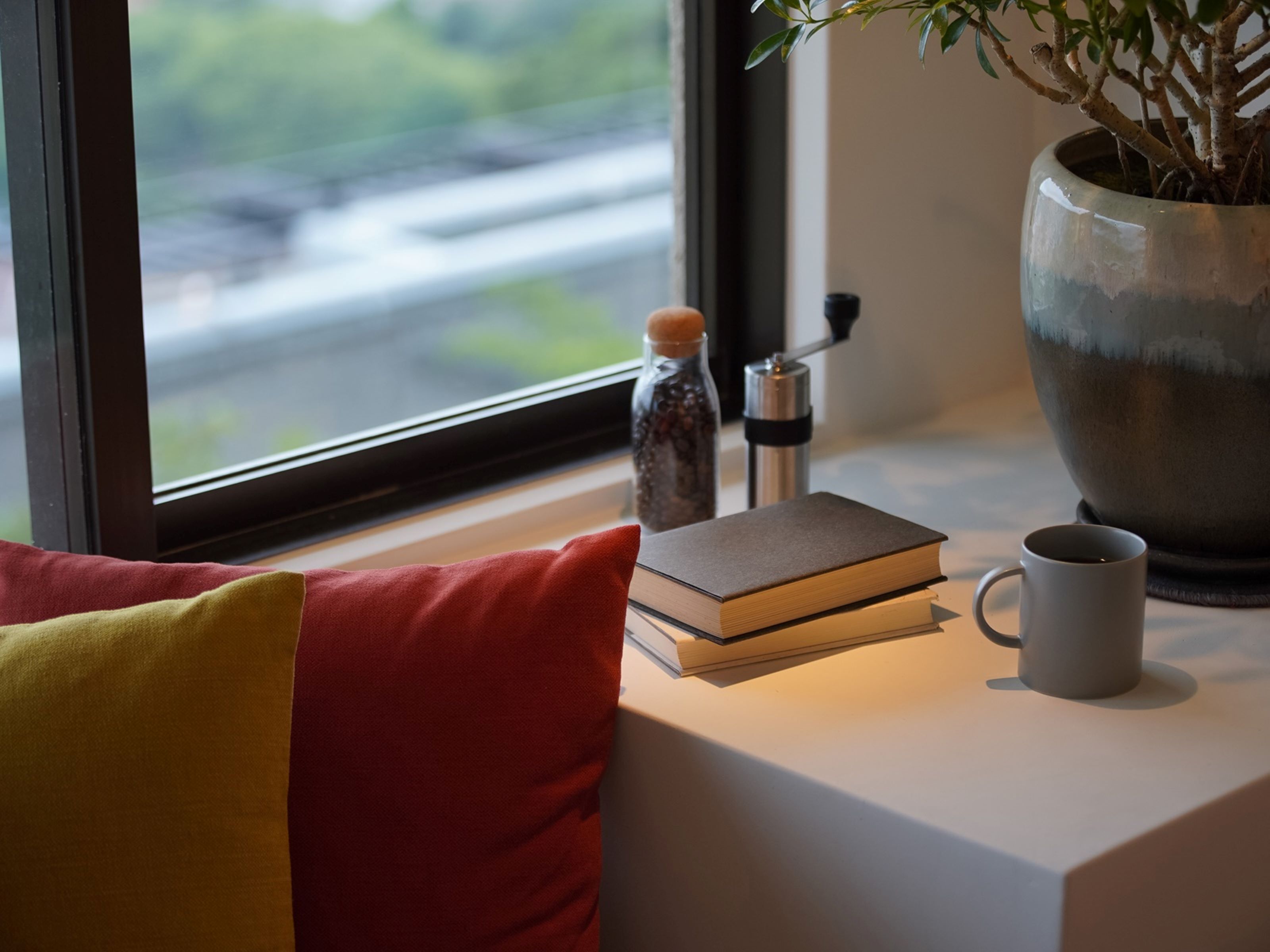 A window view of a road, a potted plant, a book, a coffee mug, and a pepper grinder on a windowsill.