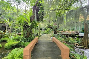 Property grounds - Taman Resort (Phitsanulok)