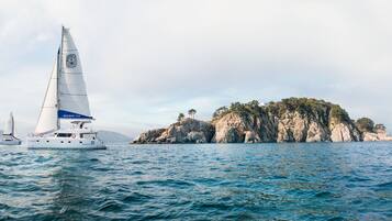 Un velero llamado 'ROSEMARY 530' en aguas tranquilas, con una isla rocosa al fondo.
