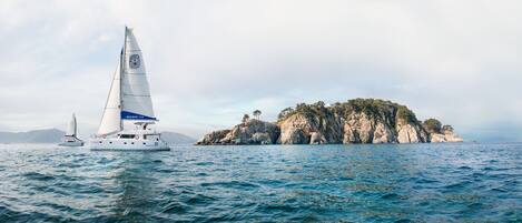 Un velero llamado 'ROSEMARY 530' en aguas tranquilas, con una isla rocosa al fondo.