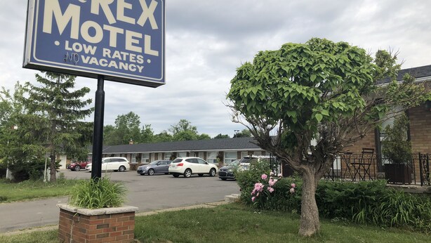 A motel sign with a tree and parked cars in the background. - The Rex Motel (Niagara Falls)