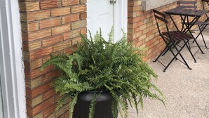 A brick building with a white door marked '10', a window, and a potted plant with ferns. - The Rex Motel (Niagara Falls)