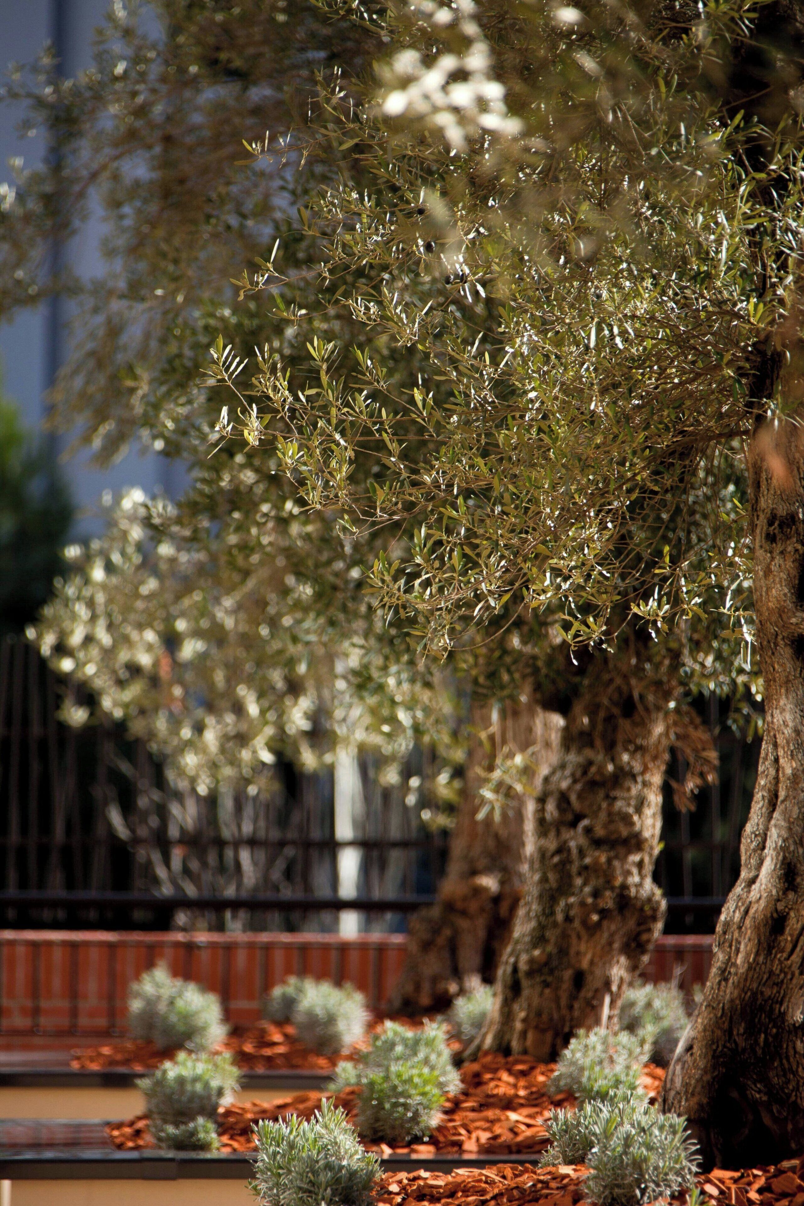 Foto - Renaissance Aix-en-Provence Hotel