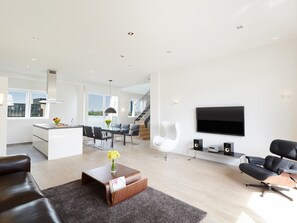 Flat-screen TV