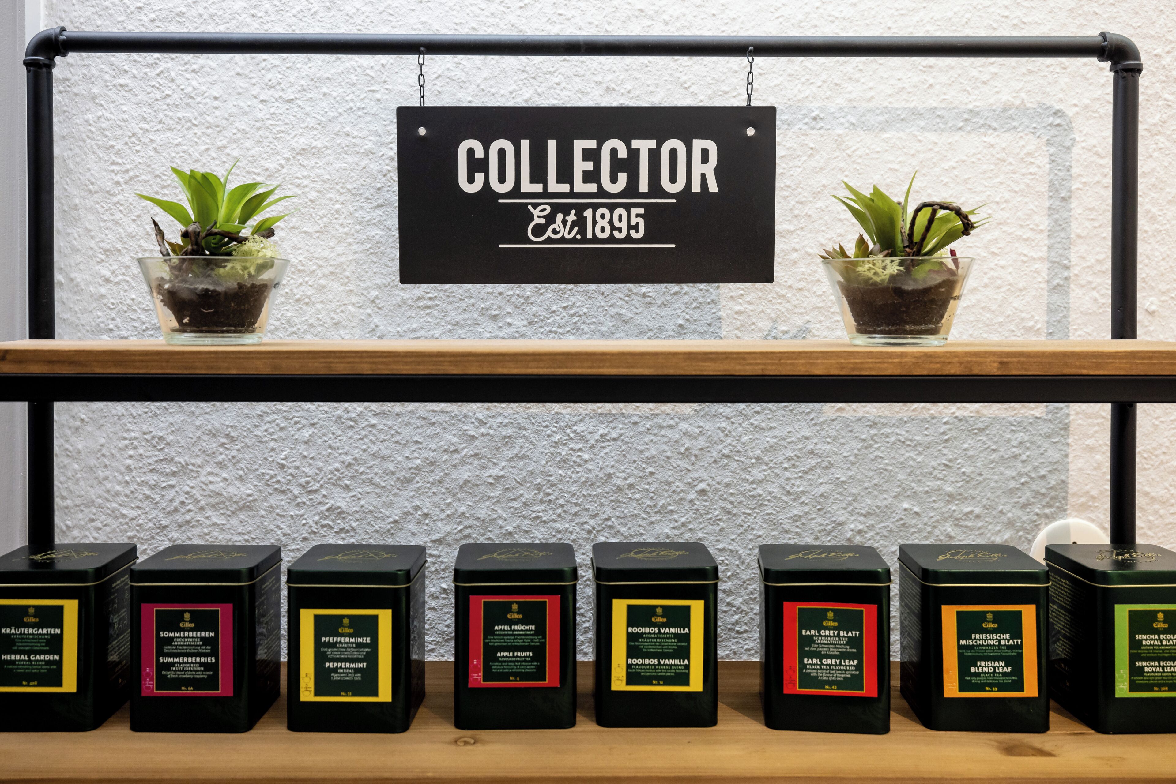 A shelf with potted plants and a sign that reads "COLLECTOR Est. 1895".
