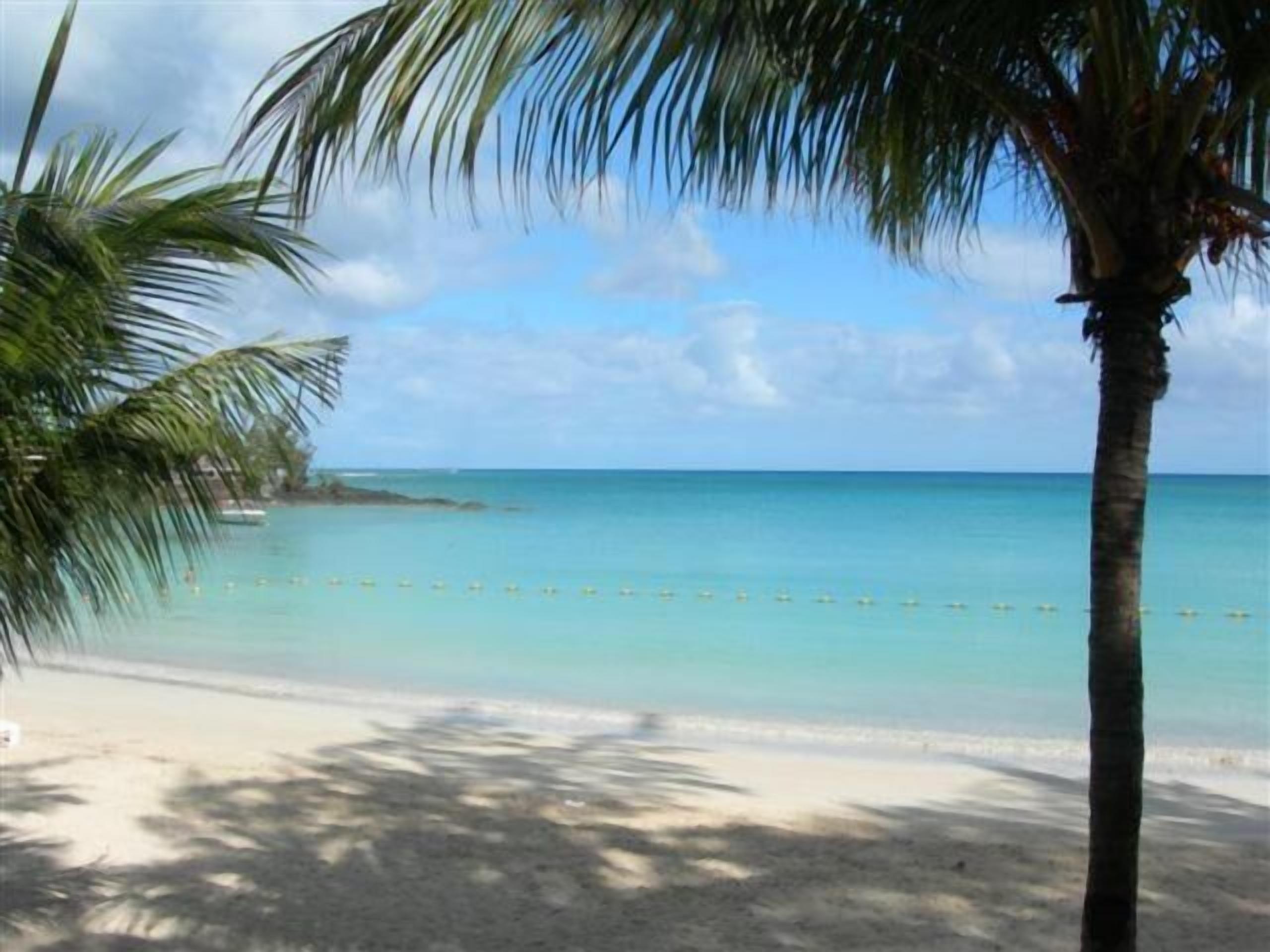 A beach with clear turquoise water, palm trees, and a sandy shore.