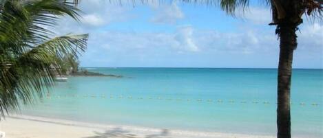 Una playa con agua turquesa cristalina, palmeras y una orilla arenosa.