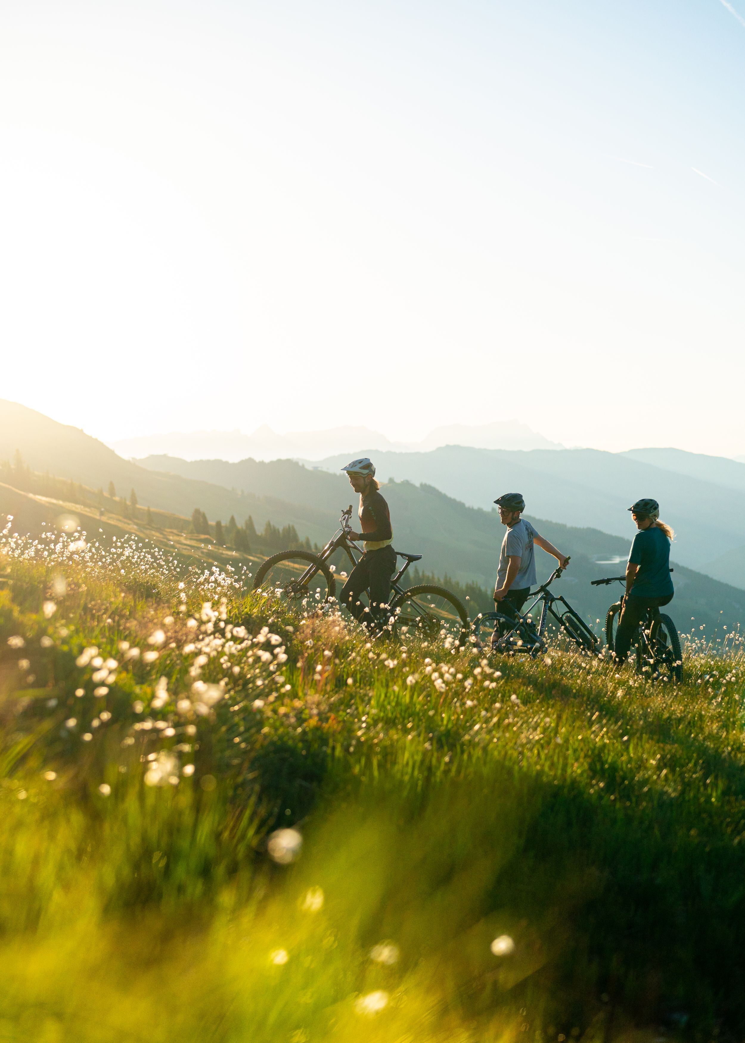 Drei Personen mit Fahrrädern auf einer Wiese, im Hintergrund Berge.