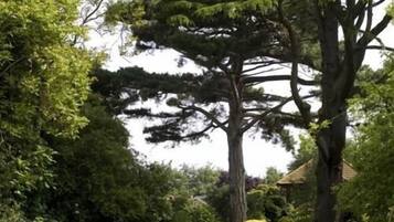 Un jardín con un árbol grande, un edificio pequeño y varios arbustos.