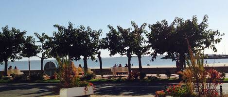 A waterfront park with benches and planters.