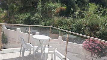 Double or Twin Room | Terrace/patio
