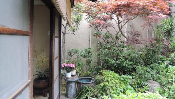 Un jardín japonés tradicional con una puerta de madera, plantas en macetas y un árbol de hojas otoñales.