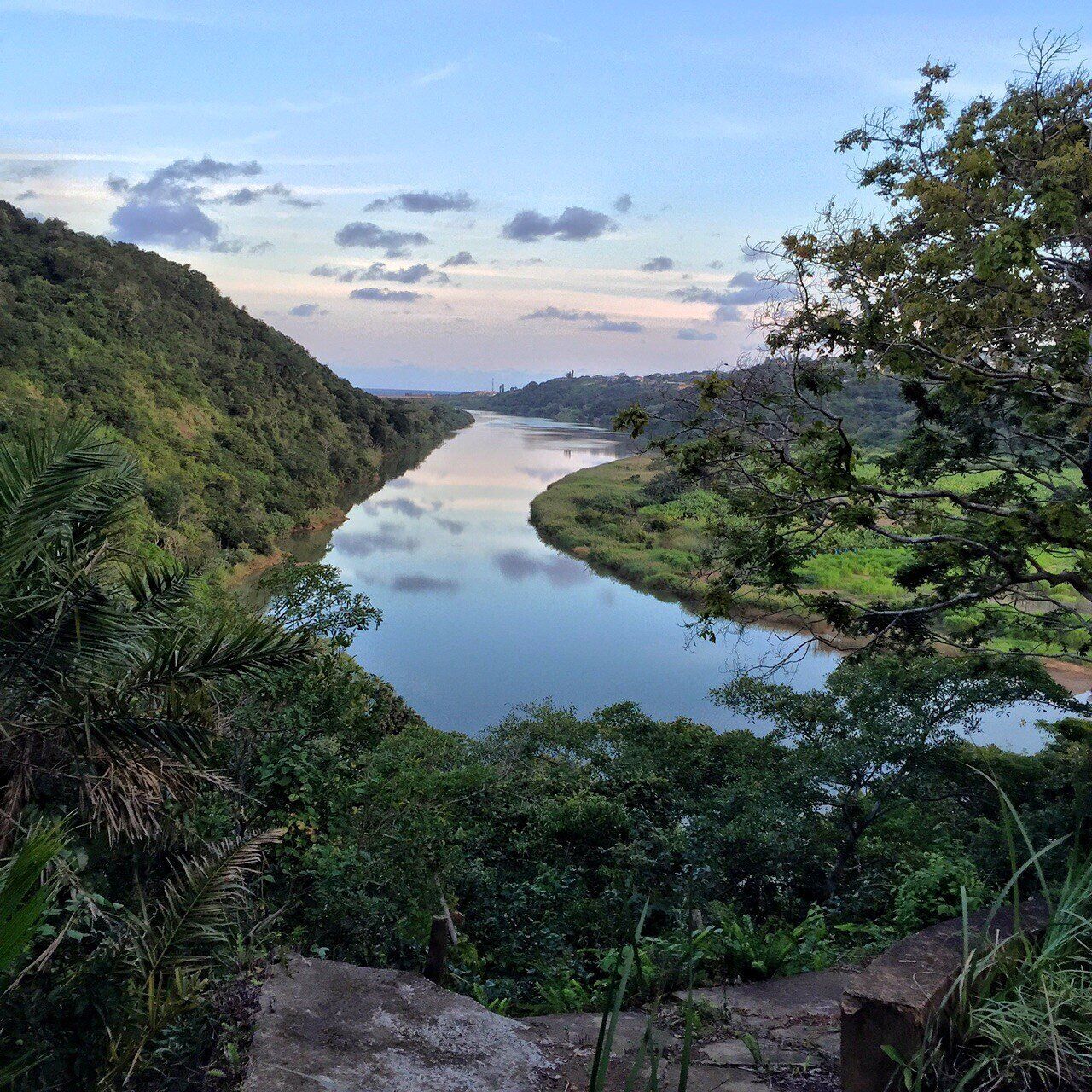 A river winding through a lush, green landscape with dense vegetation on both sides.