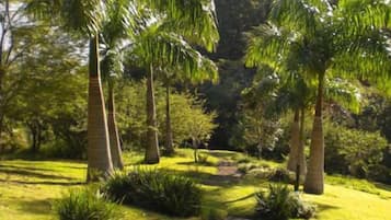 Parco della struttura
