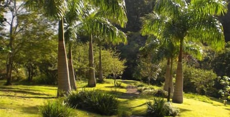 Property grounds. Royston Hall Guesthouse
