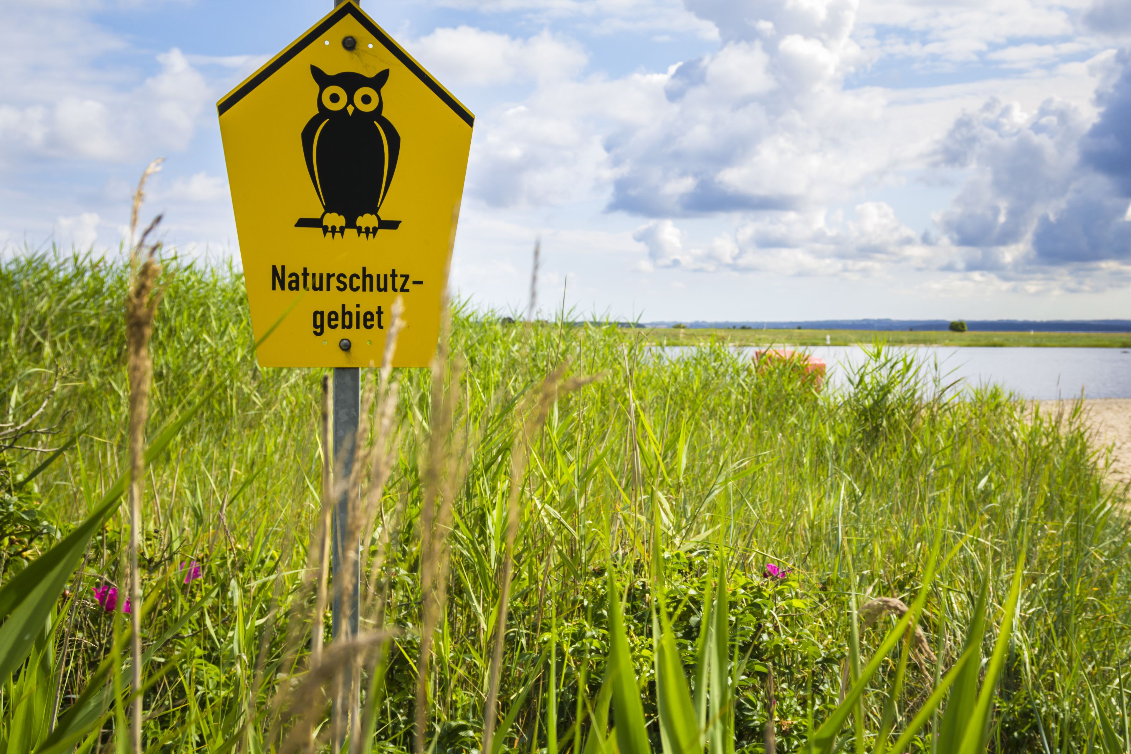 Photo - Inselhotel Poel